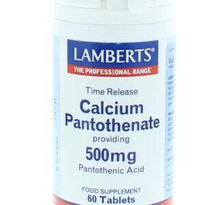 Vitamine B5 (calcium pantothenaat) time release Lamberts