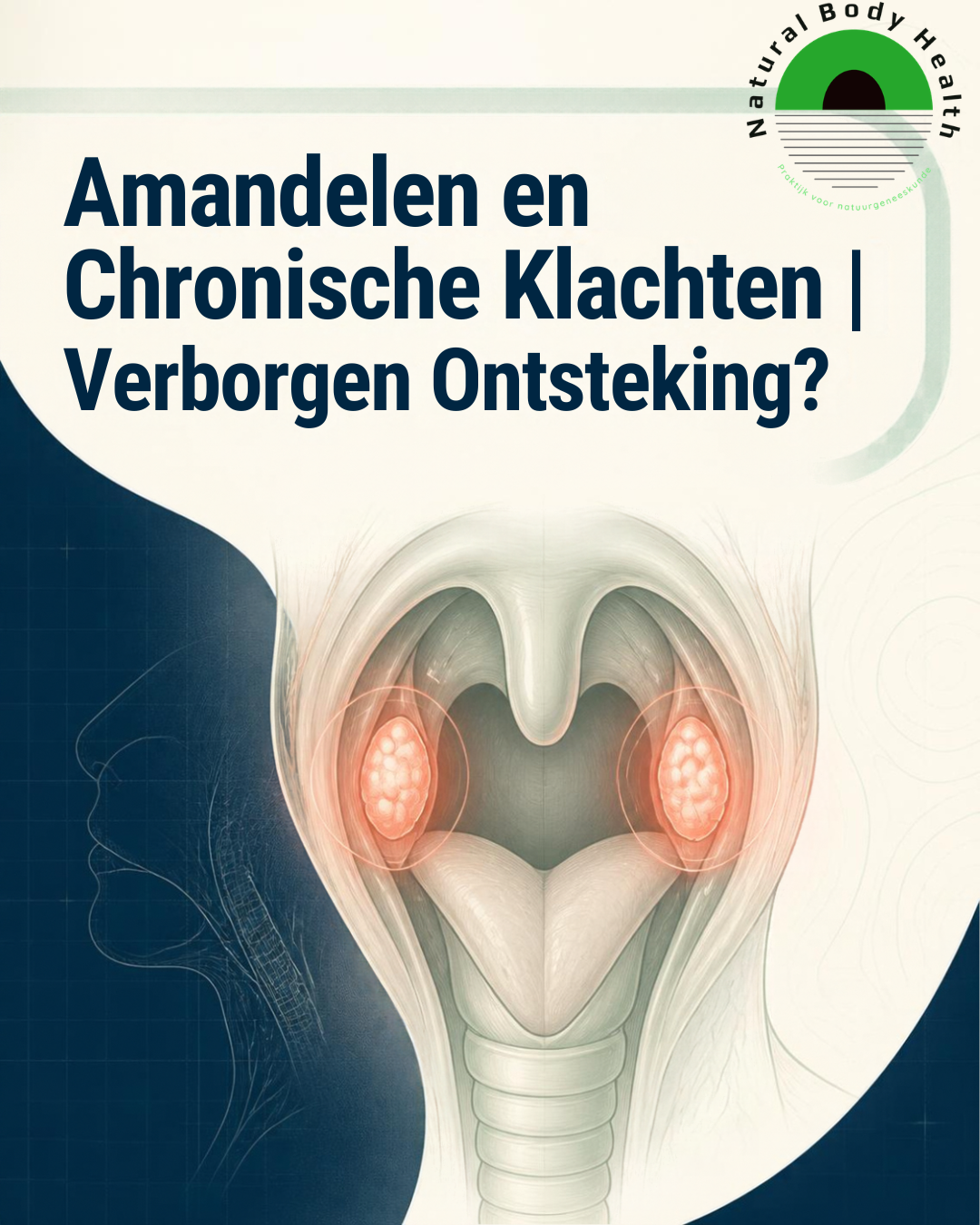 Chronische klachten? Vergeet je amandelen niet als mogelijke verborgen belasting